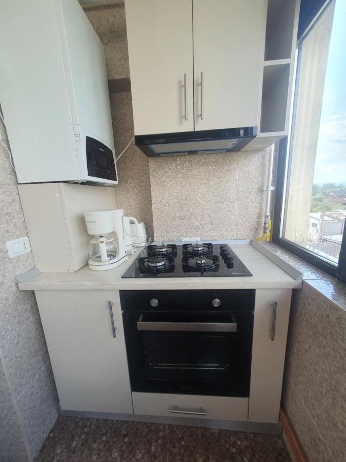Apartament Nicole Куртя-де-Арджеш Экстерьер фото